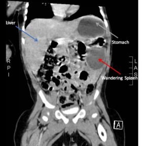 Creative Commons images