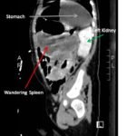 Creative Commons images