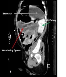 Creative Commons images