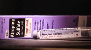 Creative Commons images