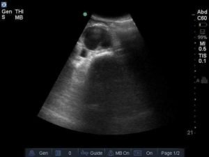 Creative Commons images