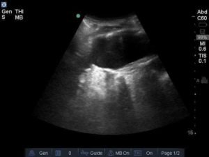 Creative Commons images