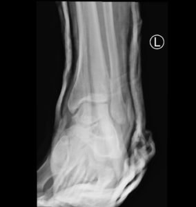 Creative Commons images