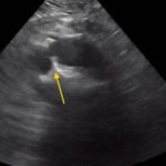 Creative Commons images