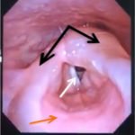 Creative Commons images