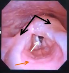 Creative Commons images