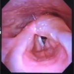 Creative Commons images