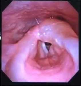 Creative Commons images