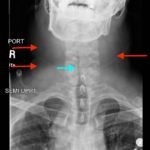 Creative Commons images