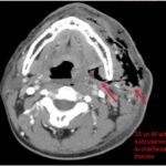 Creative Commons images