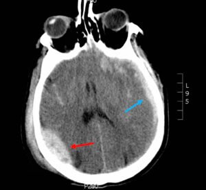 Creative Commons images