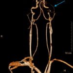 Creative Commons images