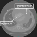 Creative Commons images