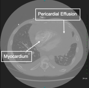 Creative Commons images