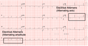 Creative Commons images