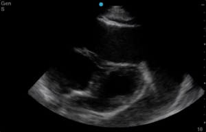 Creative Commons images