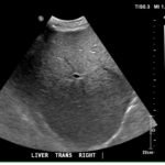 Creative Commons images