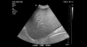 Creative Commons images