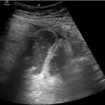 Creative Commons images