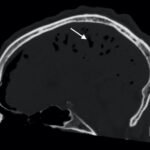 Creative Commons images