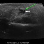 Creative Commons images