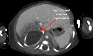 Creative Commons images