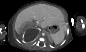 Creative Commons images