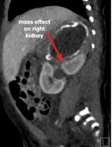 Creative Commons images