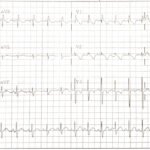 Creative Commons images