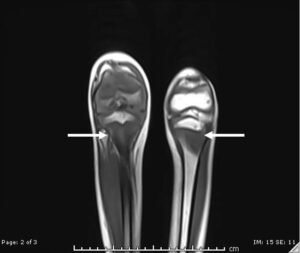 Creative Commons images