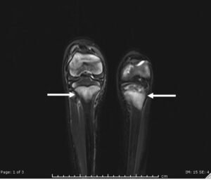 Creative Commons images