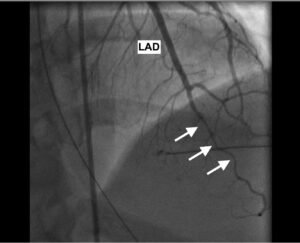 Creative Commons images