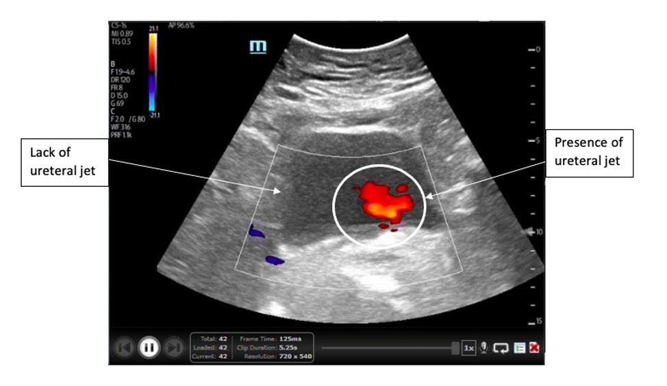 Creative Commons images