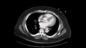 Creative Commons images