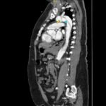 Creative Commons images