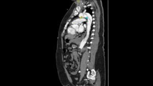 Creative Commons images