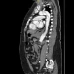 Creative Commons images