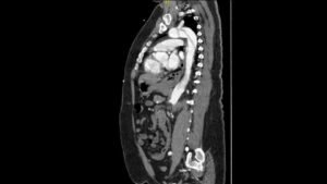 Creative Commons images