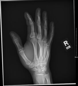 Creative Commons images