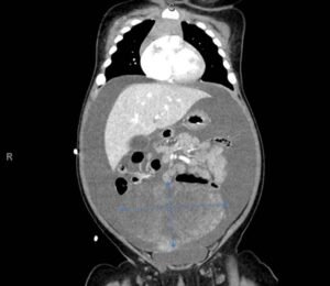 Creative Commons images