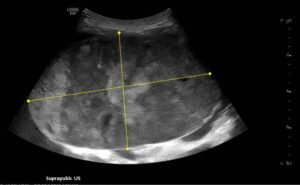 Creative Commons images