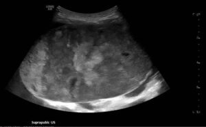 Creative Commons images