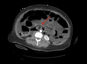 Creative Commons images