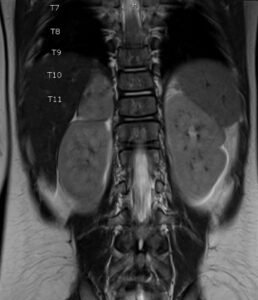 Creative Commons images