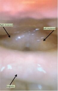 Creative Commons images