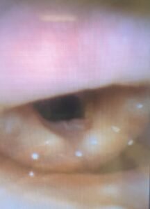 Creative Commons images