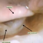 Creative Commons images