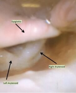 Creative Commons images