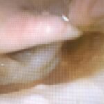 Creative Commons images