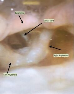 Creative Commons images